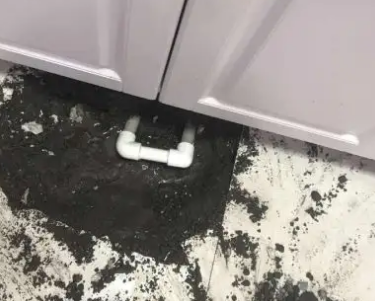 港闸查漏水哪家好